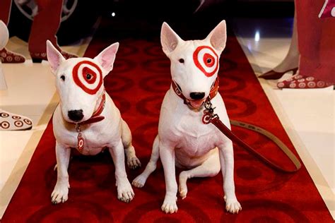 Target Dog Witch: A Tale of Magic and Mystery